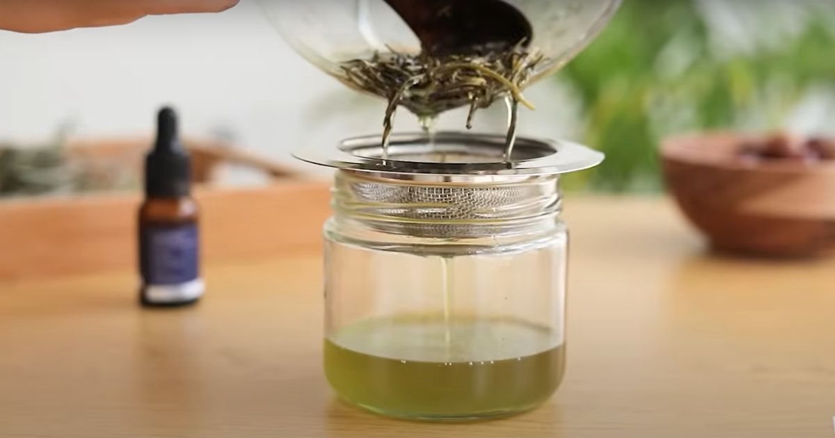 How to make rosemary oil for Hair growth